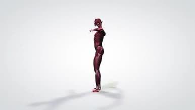 3D立体科技构建人体架构元素医疗视频的预览图